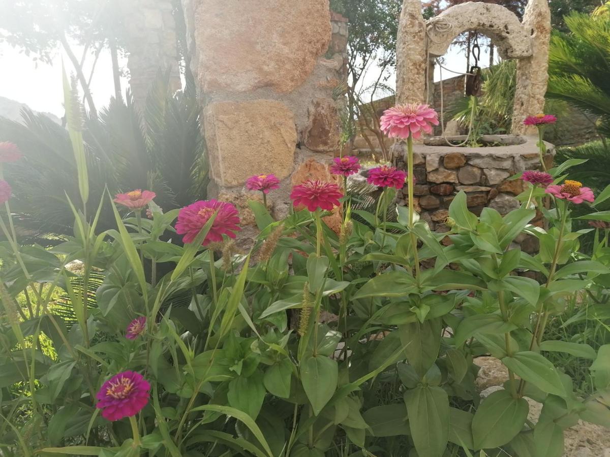 Villa Nonna Nina Capaci Kültér fotó