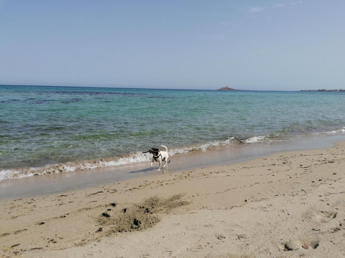 Villa Nonna Nina Capaci Kültér fotó